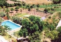 أفضل العروض ل  الجودوناليس